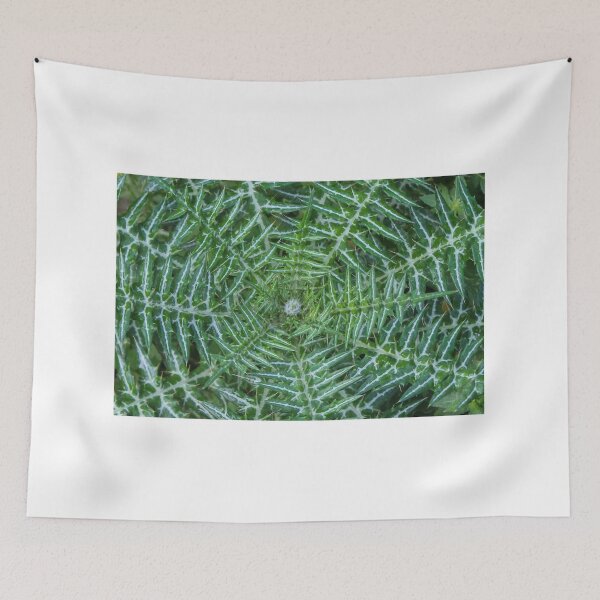 Item preview, Green Spiky Thistle Close-Up Showing Symmetrical Patterned Leaves And Sharp Spines In Nature designed and sold by Nmallia.