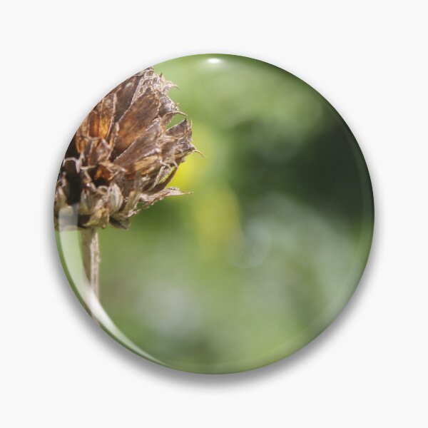 Item preview, Dried Flower Seed Head Close-Up With Green Bokeh Background In Garden Nature Scene designed and sold by Nmallia.