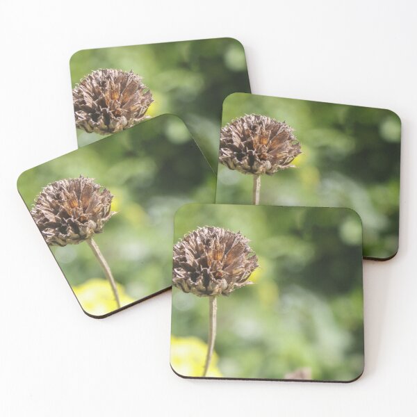 Item preview, Dried Flower Seed Head Close-Up With Green Bokeh Background In Garden Nature Scene designed and sold by Nmallia.
