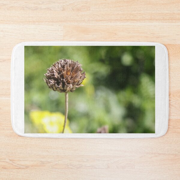 Item preview, Dried Flower Seed Head Close-Up With Green Bokeh Background In Garden Nature Scene designed and sold by Nmallia.