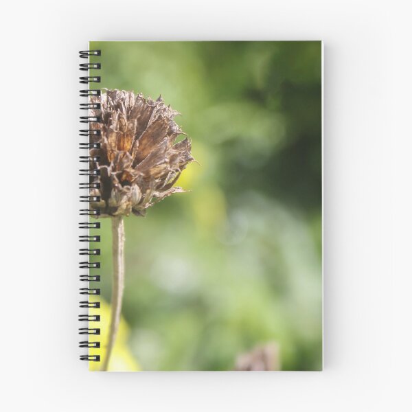 Item preview, Dried Flower Seed Head Close-Up With Green Bokeh Background In Garden Nature Scene designed and sold by Nmallia.
