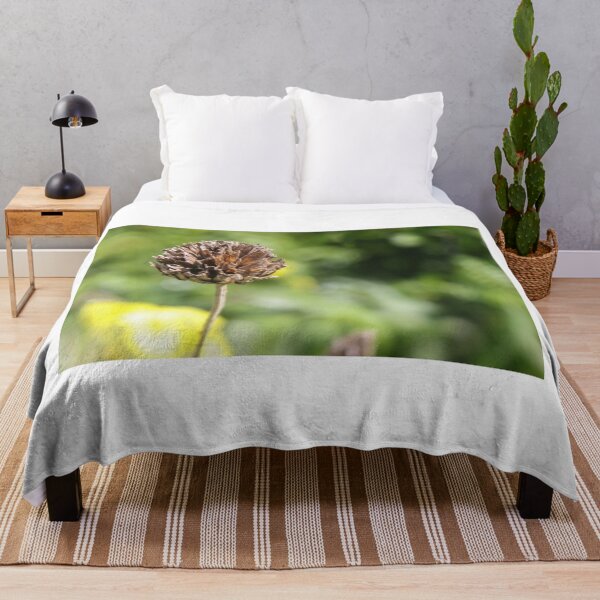 Item preview, Dried Flower Seed Head Close-Up With Green Bokeh Background In Garden Nature Scene designed and sold by Nmallia.