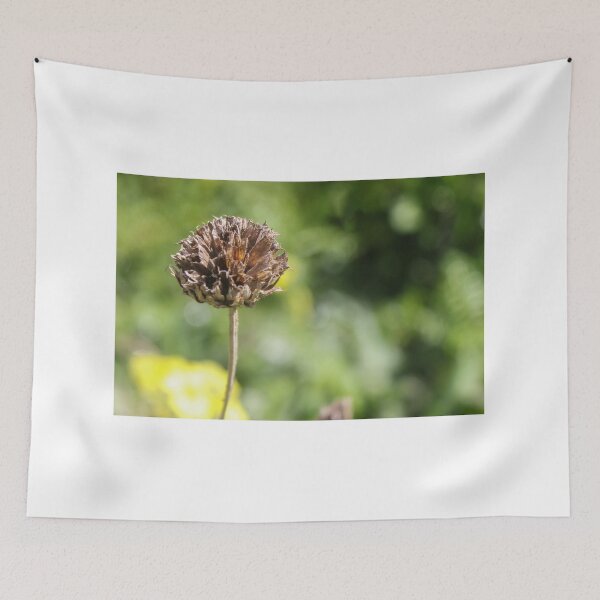 Item preview, Dried Flower Seed Head Close-Up With Green Bokeh Background In Garden Nature Scene designed and sold by Nmallia.