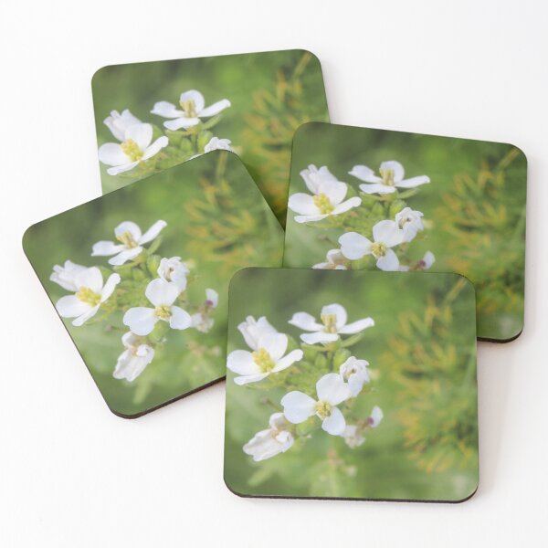Item preview, Close-Up Of White Wildflower Blossoms In Green Meadow With Soft Bokeh Background designed and sold by Nmallia.