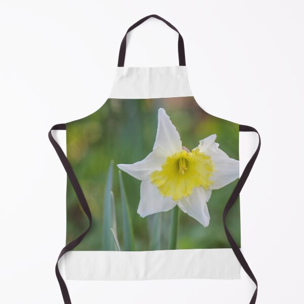 Item preview, White Daffodil With Yellow Trumpet Blooming In Soft Focus Spring Garden Close-Up designed and sold by Nmallia.