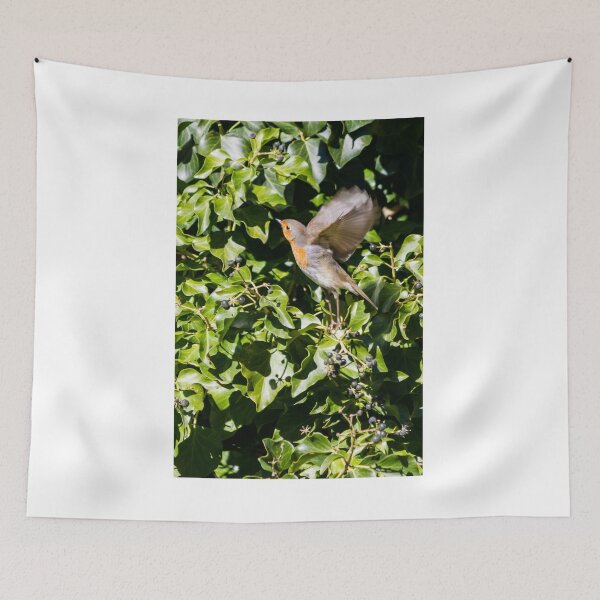 Item preview, European Robin Taking Flight Among Green Ivy Berries in Sunlit Garden Foliage designed and sold by Nmallia.
