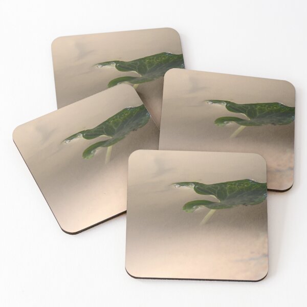 Item preview, Floating Green Leaf With Water Droplets Close-Up Minimal Nature Composition And Calm Reflection designed and sold by Nmallia.