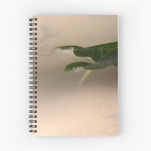 Item preview, Floating Green Leaf With Water Droplets Close-Up Minimal Nature Composition And Calm Reflection designed and sold by Nmallia.