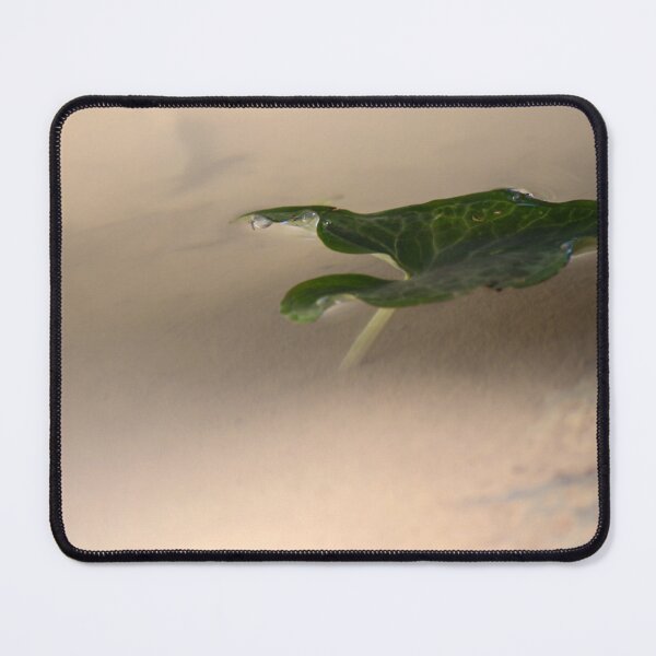 Item preview, Floating Green Leaf With Water Droplets Close-Up Minimal Nature Composition And Calm Reflection designed and sold by Nmallia.