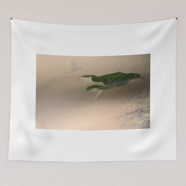 Item preview, Floating Green Leaf With Water Droplets Close-Up Minimal Nature Composition And Calm Reflection designed and sold by Nmallia.