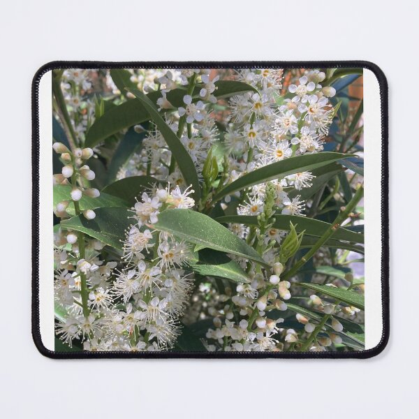 Item preview, Pretty Patterns designed and sold by Jeanne Henner.