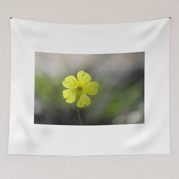 Item preview, Bright Yellow Wildflower With Delicate Notched Petals And Tiny Spots Macro Close-Up In Soft Bokeh designed and sold by Nmallia.