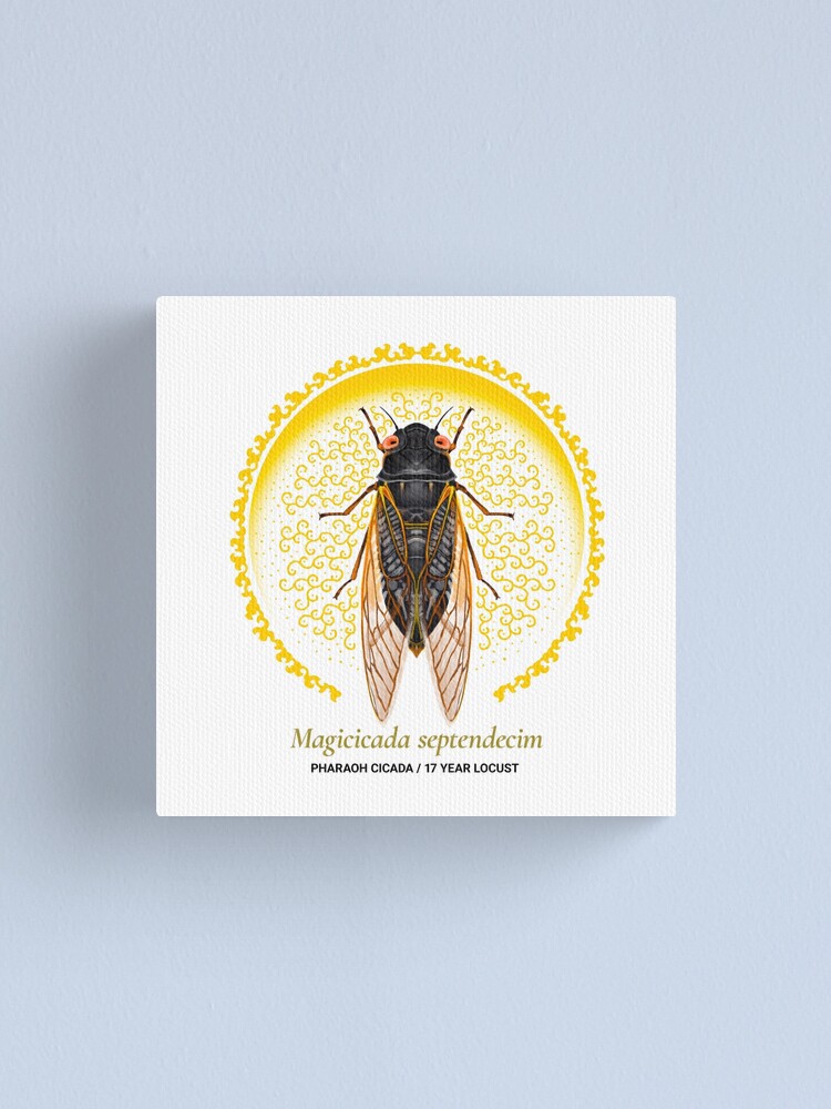 Alternate view of The Circles of Life: Pharaoh Cicada / 17 Year Locust Canvas Print