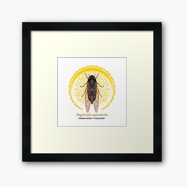 Item preview, The Circles of Life: Pharaoh Cicada / 17 Year Locust designed and sold by Franz Anthony.