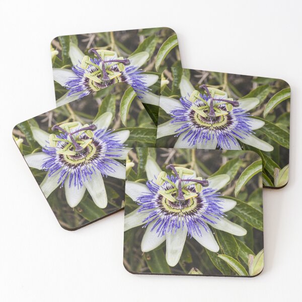Item preview, Close-Up Of Purple Passionflower (Passiflora) Blooming With White Petals And Intricate Filaments designed and sold by Nmallia.