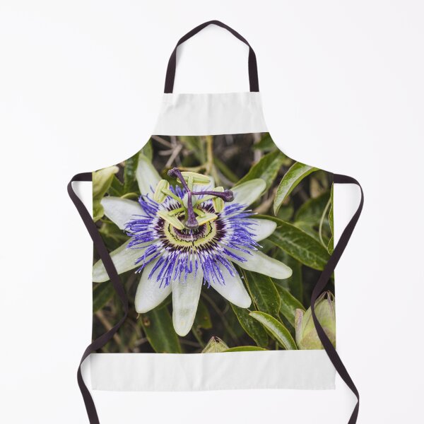 Item preview, Close-Up Of Purple Passionflower (Passiflora) Blooming With White Petals And Intricate Filaments designed and sold by Nmallia.