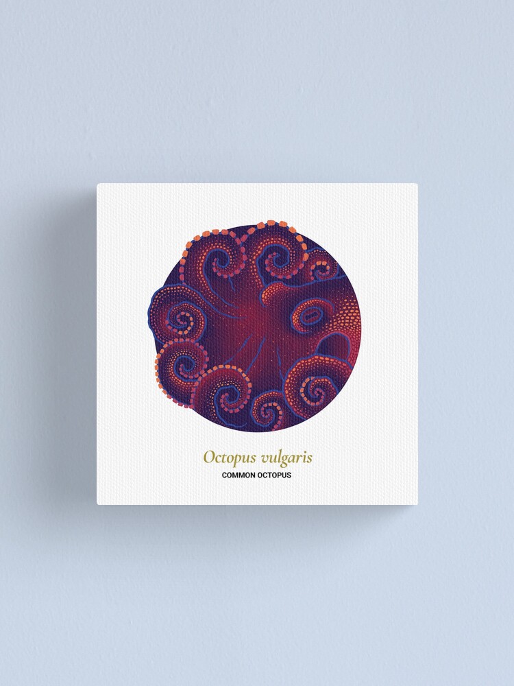 Alternate view of The Circles of Life: Common Octopus Canvas Print