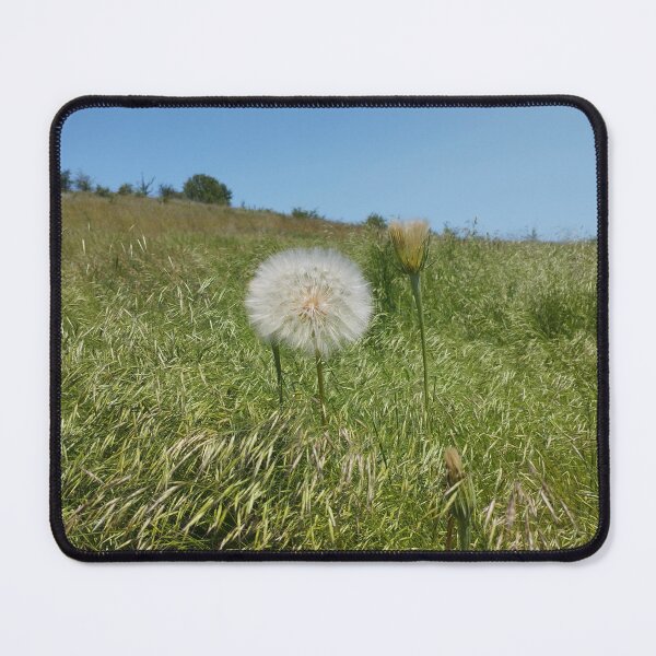 Item preview, Dandelion Seed Head designed and sold by inspiration3.
