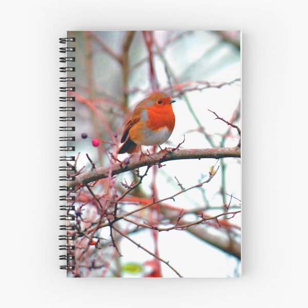 Item preview, European Robin Red Breast Bird designed and sold by AndyEvansPhotos.