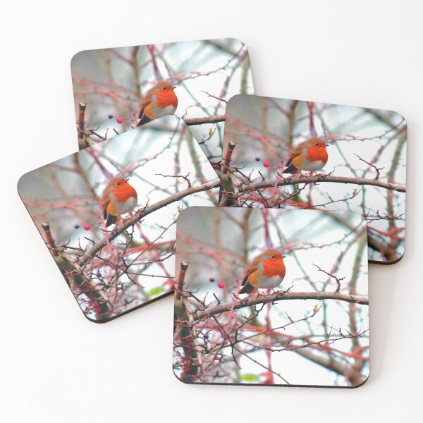 Item preview, European Robin Red Breast Bird designed and sold by AndyEvansPhotos.