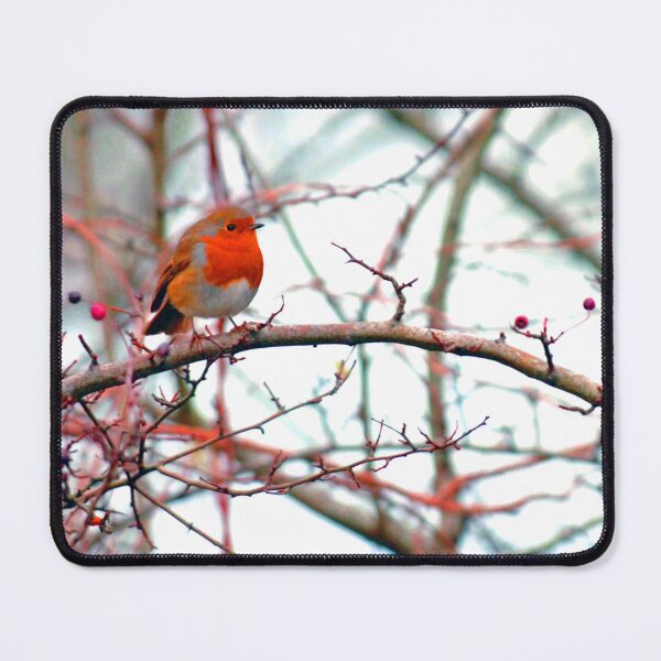 Item preview, European Robin Red Breast Bird designed and sold by AndyEvansPhotos.