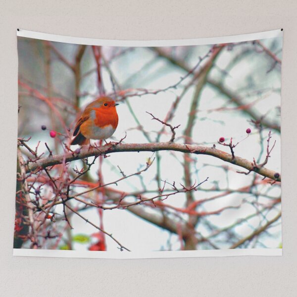 Item preview, European Robin Red Breast Bird designed and sold by AndyEvansPhotos.