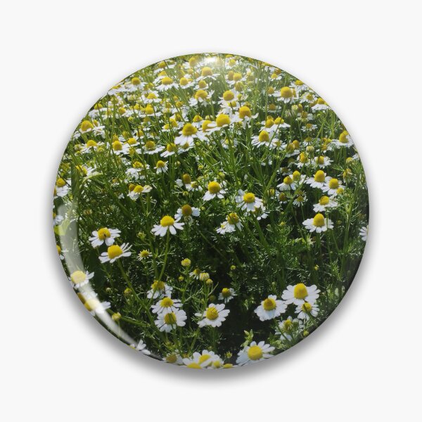 Item preview, Chamomile Flowers Close-Up designed and sold by inspiration3.