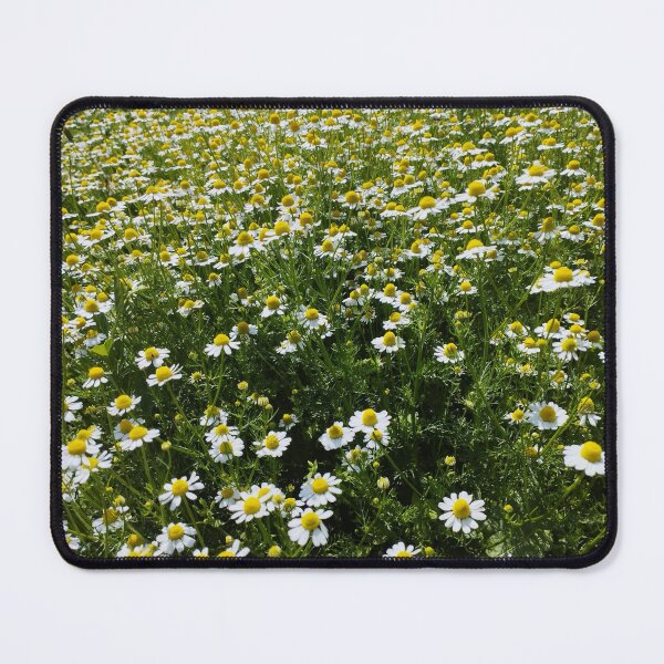 Item preview, Chamomile Flowers Close-Up designed and sold by inspiration3.