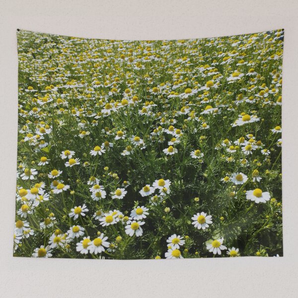 Item preview, Chamomile Flowers Close-Up designed and sold by inspiration3.