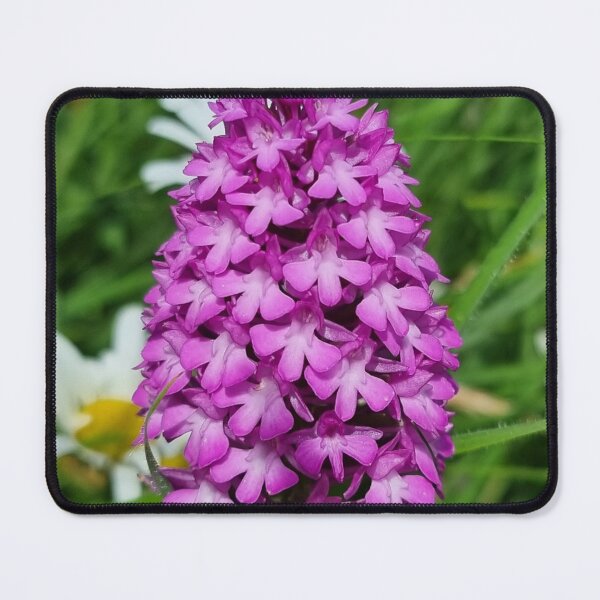 Item preview, Wild pyramidal orchard designed and sold by chalkyheart.