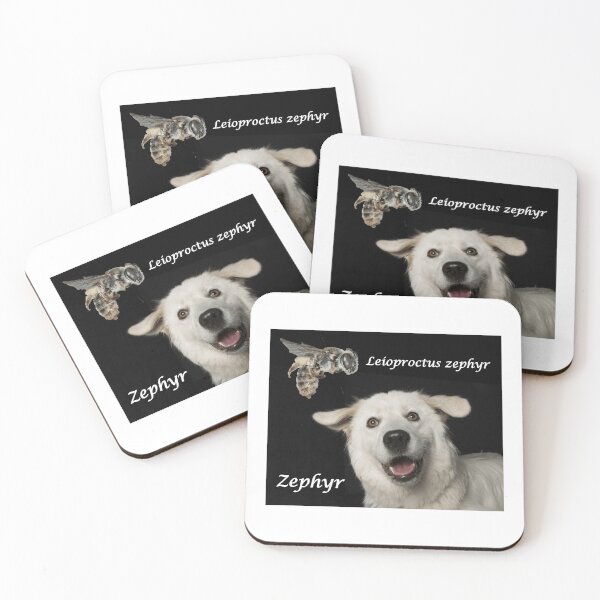 Item preview, Leioproctus zephyr - the only new species in the world named after a dog designed and sold by BeeBabette.