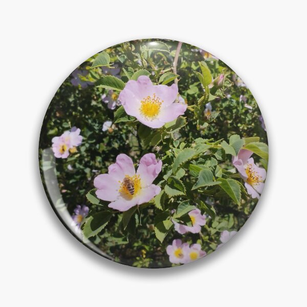 Item preview, Blooming Rose Hips Close-Up in Spring designed and sold by inspiration3.