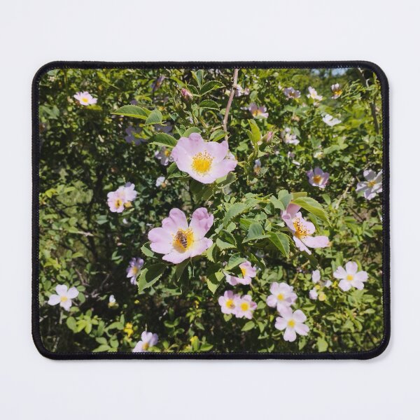 Item preview, Blooming Rose Hips Close-Up in Spring designed and sold by inspiration3.