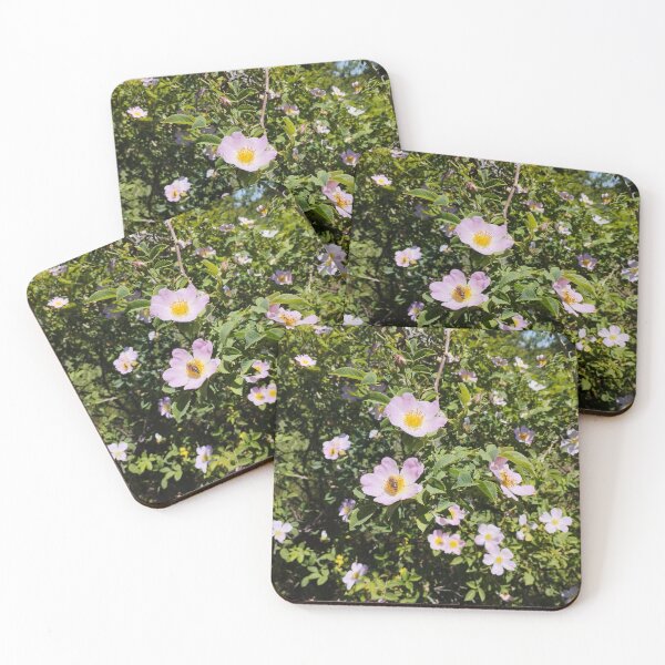 Item preview, Blooming Rose Hips Close-Up in Spring designed and sold by inspiration3.
