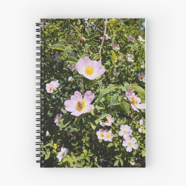 Item preview, Blooming Rose Hips Close-Up in Spring designed and sold by inspiration3.
