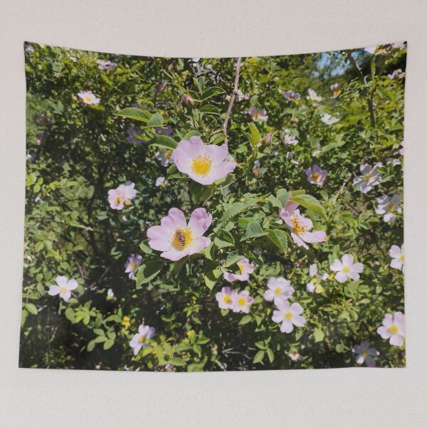Item preview, Blooming Rose Hips Close-Up in Spring designed and sold by inspiration3.
