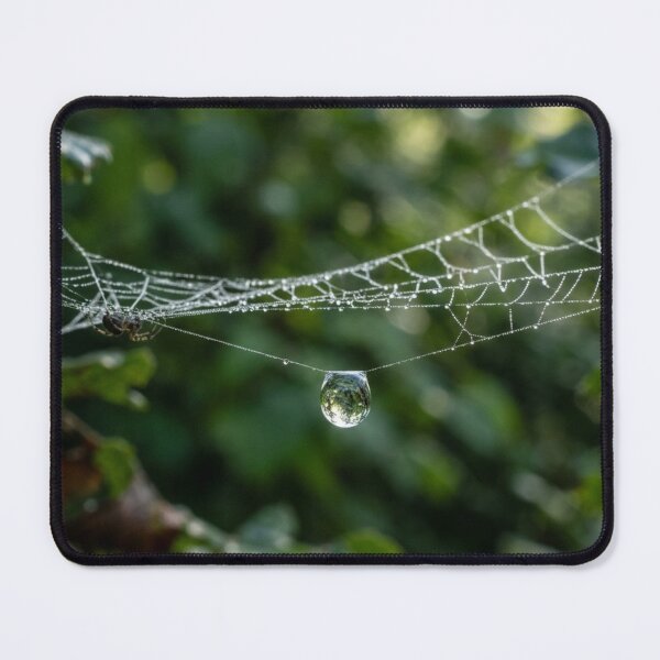 Item preview, Droplet suspended from a spiderweb designed and sold by Malisa345.