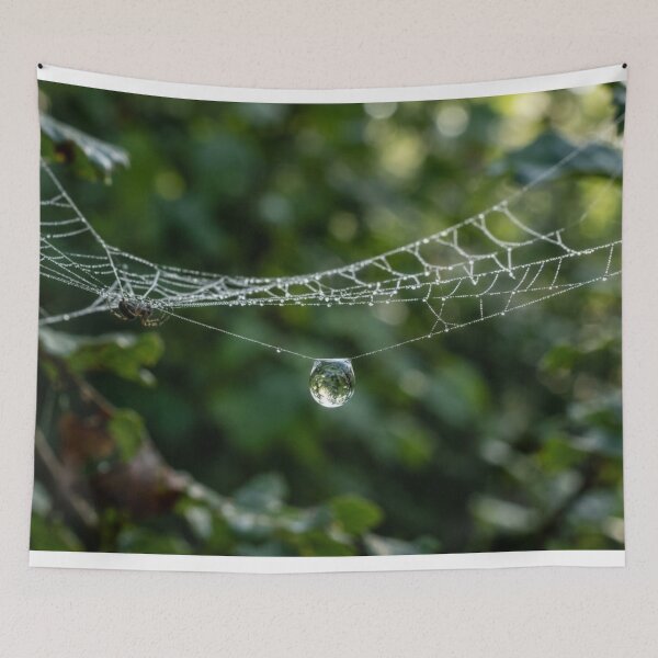 Item preview, Droplet suspended from a spiderweb designed and sold by Malisa345.
