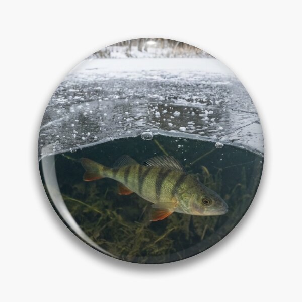 Item preview, Fish visible under a thin layer of ice designed and sold by Malisa345.