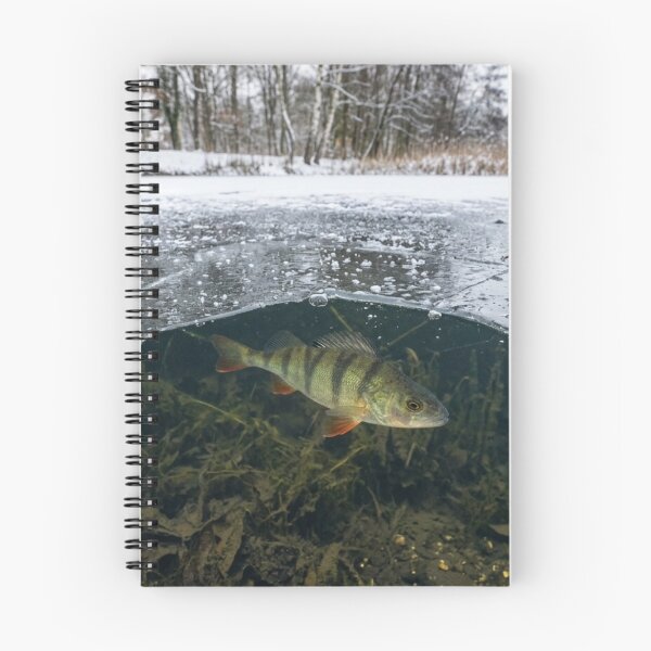 Item preview, Fish visible under a thin layer of ice designed and sold by Malisa345.