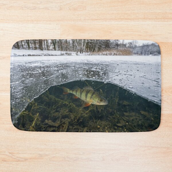 Item preview, Fish visible under a thin layer of ice designed and sold by Malisa345.