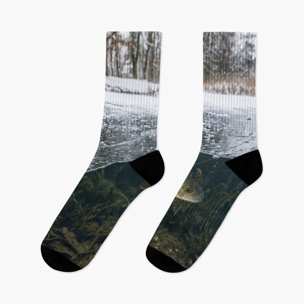 Item preview, Fish visible under a thin layer of ice designed and sold by Malisa345.