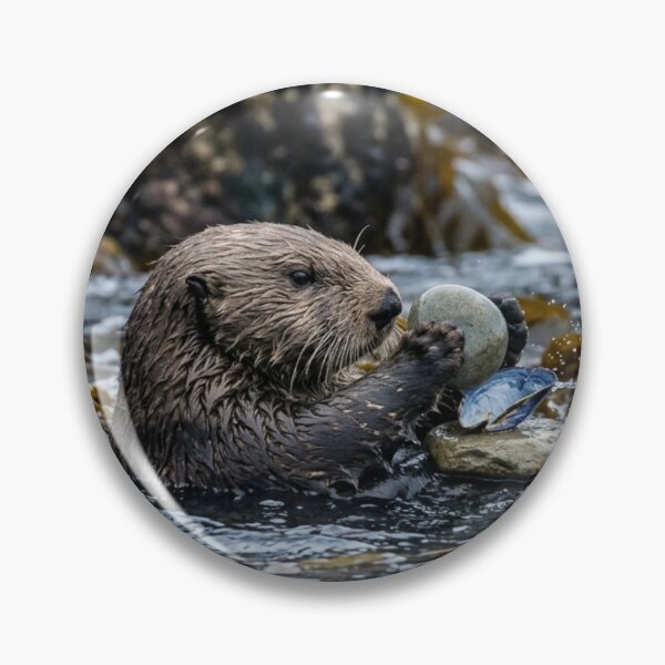 Item preview, Otter using a stone as a tool designed and sold by Malisa345.
