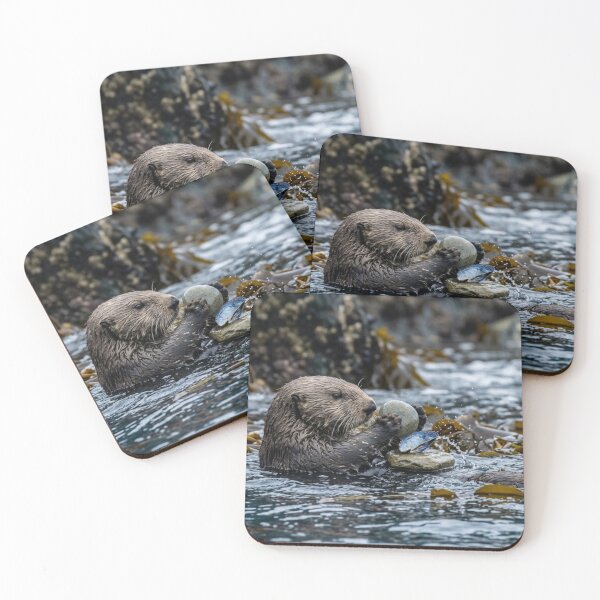 Item preview, Otter using a stone as a tool designed and sold by Malisa345.