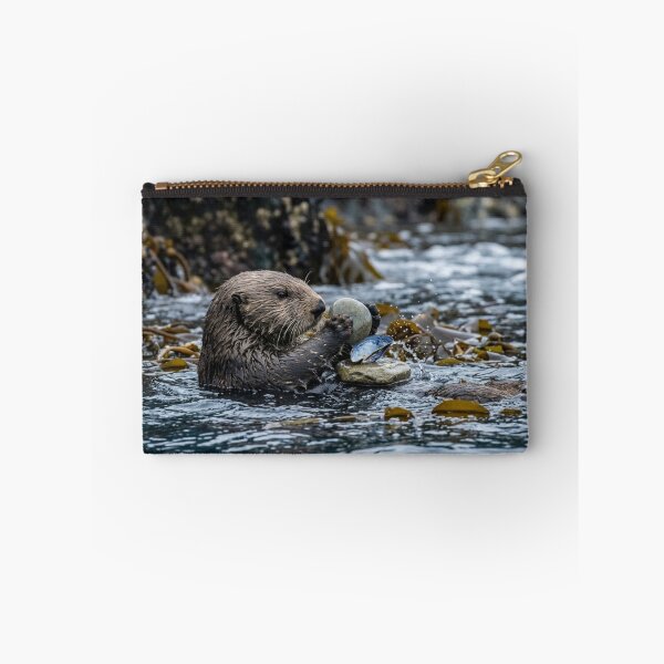 Item preview, Otter using a stone as a tool designed and sold by Malisa345.