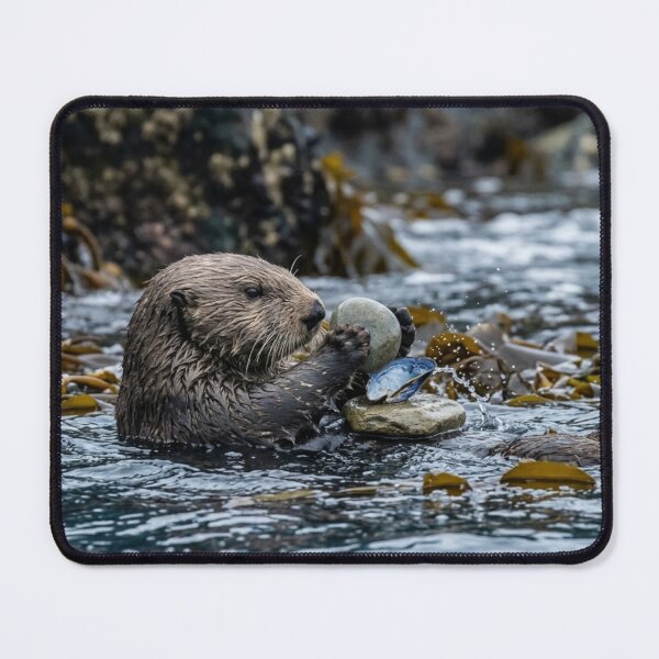 Item preview, Otter using a stone as a tool designed and sold by Malisa345.