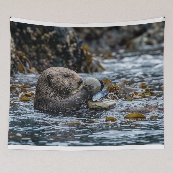 Item preview, Otter using a stone as a tool designed and sold by Malisa345.