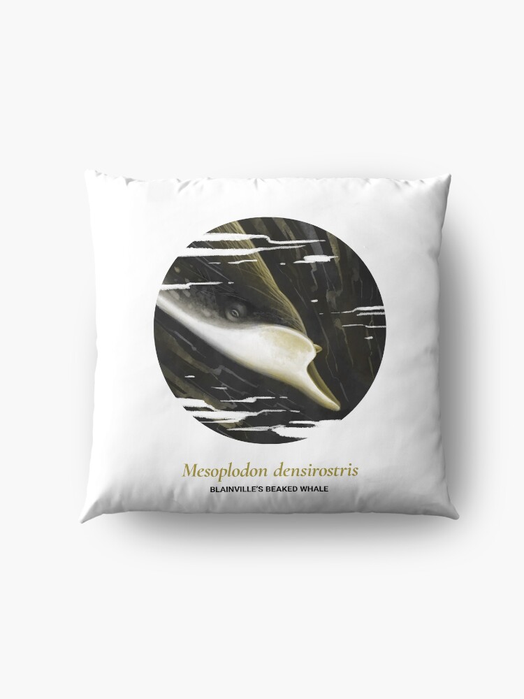 Alternate view of The Circles of Life: Blainville's Beaked Whale Floor Pillow