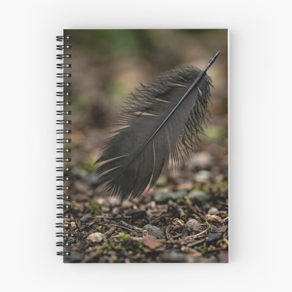 Item preview, Black feather about to fall to the ground designed and sold by Malisa345.