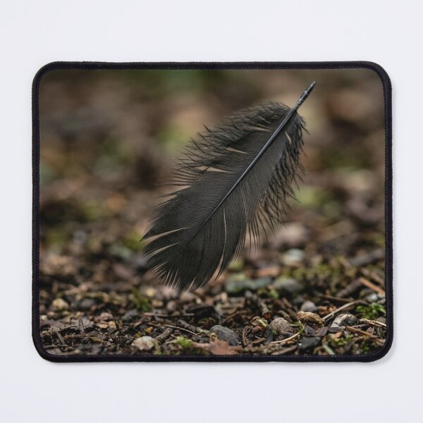 Item preview, Black feather about to fall to the ground designed and sold by Malisa345.